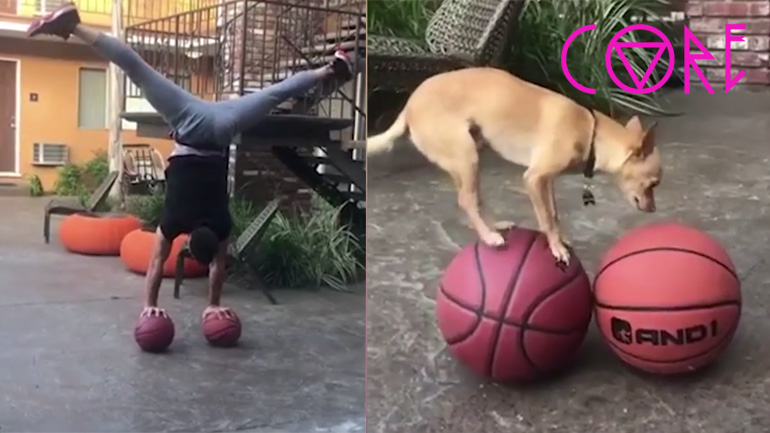 Ο σκύλος μιμείται το αφεντικό του