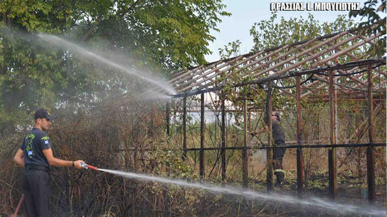 Αργολίδα: Πυρκαγιά σε αγροτική κατοικία και θερμοκήπιο στο Άργος