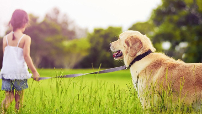Πολλαπλά τα οφέλη για τον άνθρωπο από τη συμβίωση με ένα κατοικίδιο