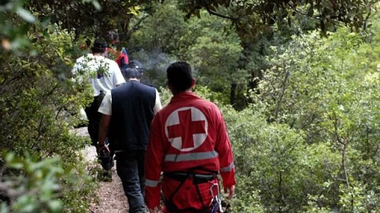Κρήτη: Εξαφανίστηκε 75χρονη μέσα σε φαράγγι στο Ηράκλειο Κρήτη: Εξαφανίστηκε 75χρονη μέσα σε φαράγγι στο Ηράκλειο
