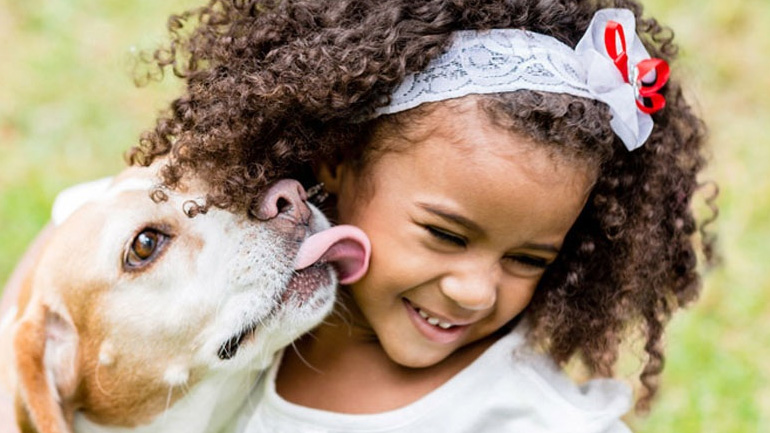 Σκύλος στο σπίτι! Tips για το τέλειο καθάρισμα