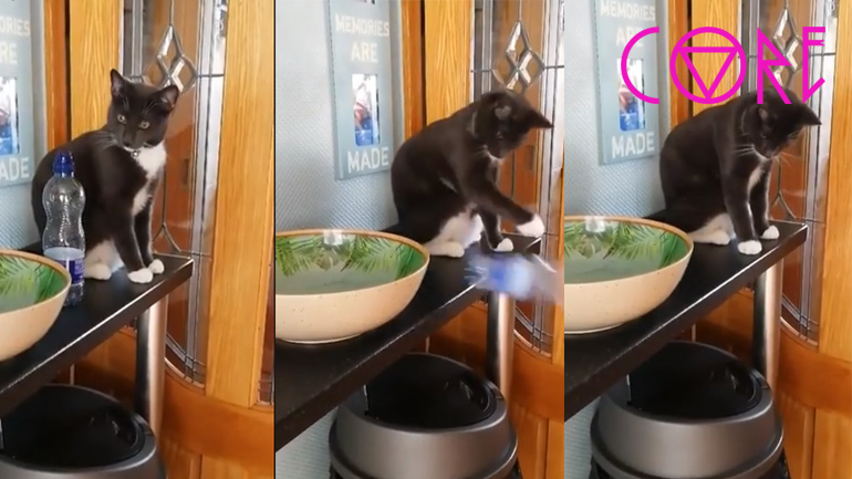 Θα περάσει το δικό της!