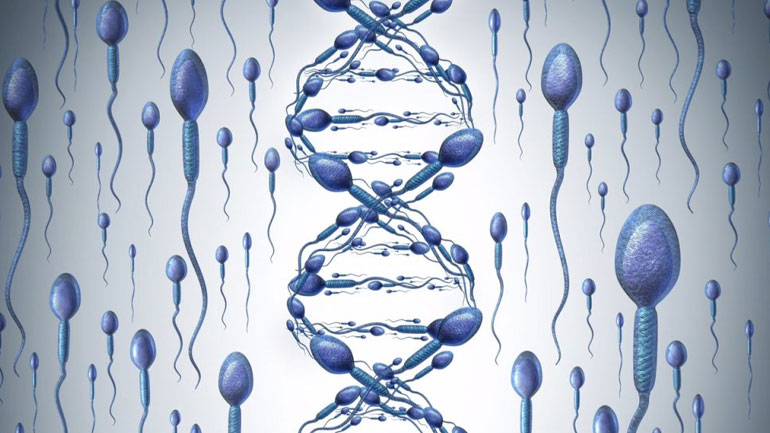 Επιγενετική και ανδρική υπογονιμότητα Επιγενετική και ανδρική υπογονιμότητα
