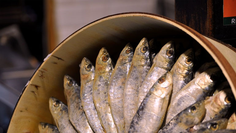 Ανάκληση μη ασφαλούς αλιεύματος από τον ΕΦΕΤ