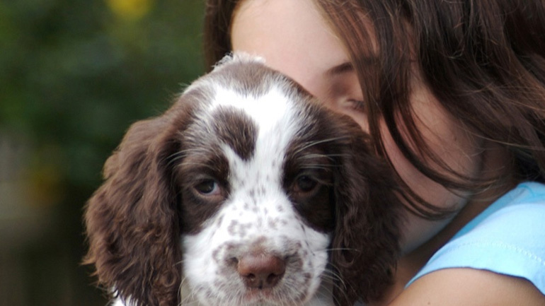 Πώς θα μπορούσαν τα σκυλιά να βοηθήσουν τα παιδιά να κατανοήσουν την έννοια του bullying;