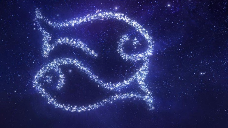 Πώς αντιδρούν τα ζώδια στις προσβολές;