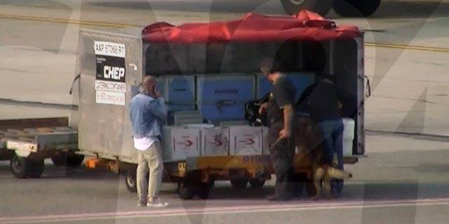 Τα ναρκωτικά στο αεροδρόμιο