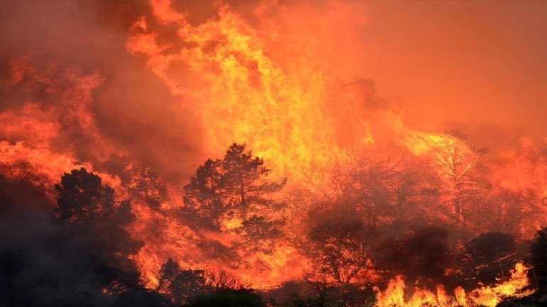 Τριάντα ένας νεκροί από πυρκαγιές στην Καλιφόρνια Τριάντα ένας νεκροί από πυρκαγιές στην Καλιφόρνια