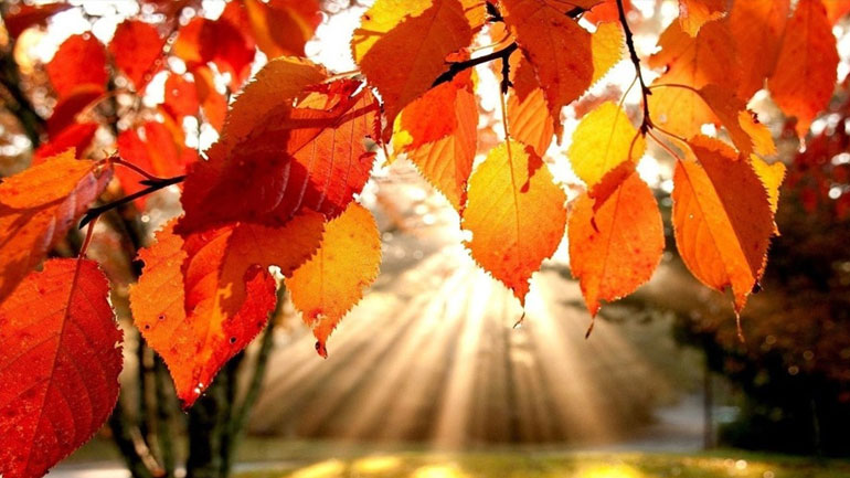 Η Αφροδίτη στον Ζυγό από τις 14 Οκτώβρη- Οι προβλέψεις για τα ζώδια Η Αφροδίτη στον Ζυγό από τις 14 Οκτώβρη- Οι προβλέψεις για τα ζώδια