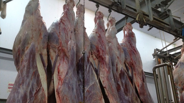Κατάσχεση τροφίμων ζωικής προέλευσης στο Πέραμα