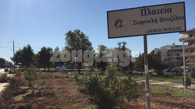 Βούλα: Κόβουν τα δέντρα πριν γεράσουν