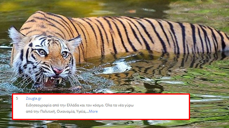 Η Ζούγκλα στην κορυφή