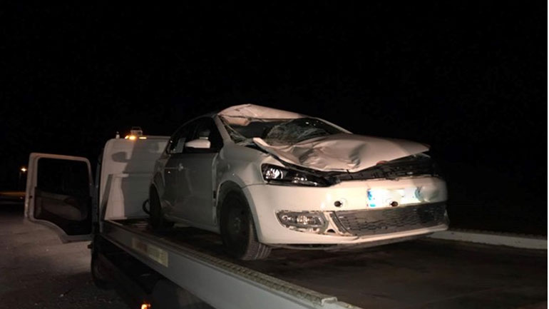 Γιάννενα: Τράκαρε με αγελάδα! Γιάννενα: Τράκαρε με αγελάδα!