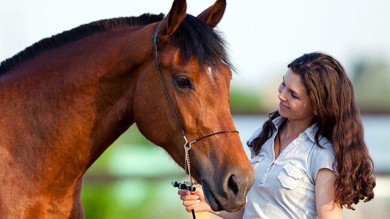 Και τα άλογα μπορούν να επικοινωνήσουν με τον άνθρωπο!