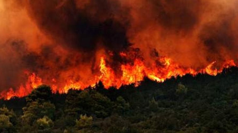 Ολονύχτια μάχη με τις φλόγες στην Εύβοια Ολονύχτια μάχη με τις φλόγες στην Εύβοια