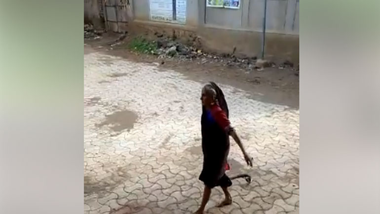 Ρουτίνα οι κόμπρες στην Ασία