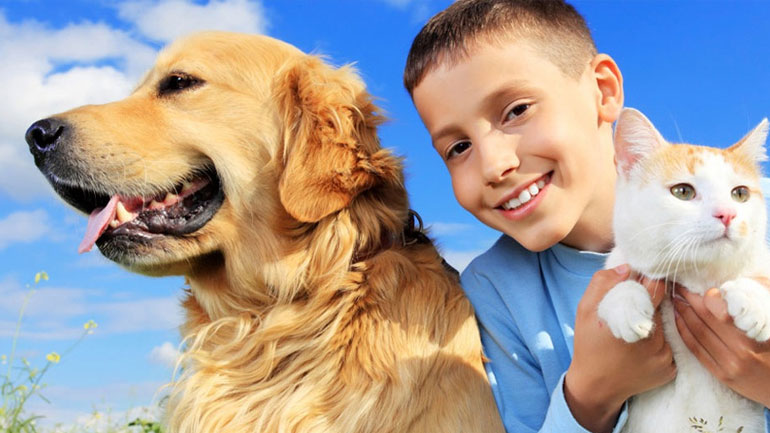 Έχεις άρρωστο κατοικίδιο; Χρειάζεσαι ψυχολογική υποστήριξη