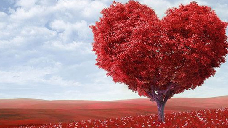 Δείτε τις αισθηματικές αστρολογικές προβλέψεις για αυτήν την εβδομάδα