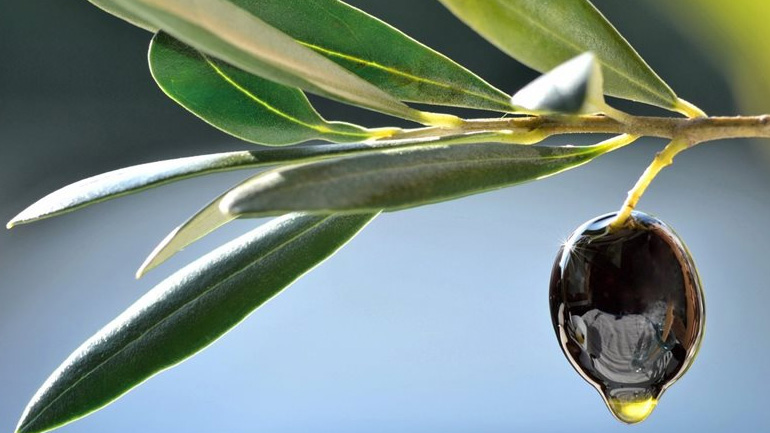 Συλλήψεις στο Κιλκίς για πώληση νοθευμένου ελαιολάδου