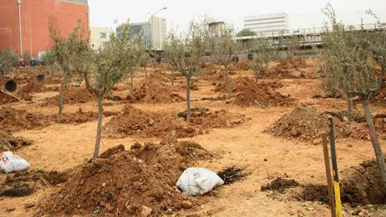 Η Βουλή είπε «ναι» στη δημιουργία αποτεφρωτηρίου νεκρών στον Ελαιώνα