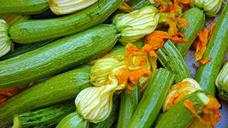 Δέσμευση τριών τόνων κολοκυθιών σε επιχείρηση του Ρέντη