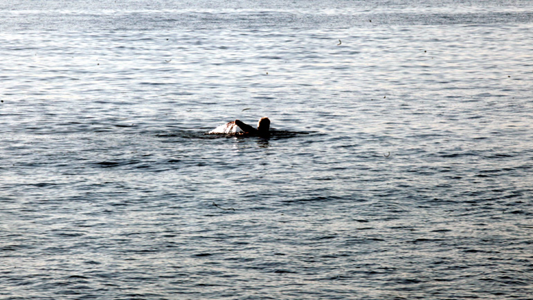 Παραδόθηκαν στο κοινό οι ακτές της Πειραϊκής