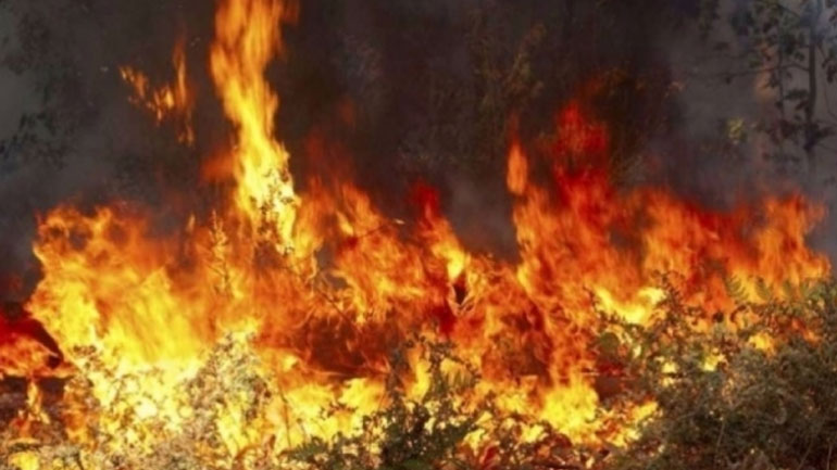 Κρήτη: Πήγε να κάψει τα κλαδιά στο λιόφυτο και κάηκε ζωντανός