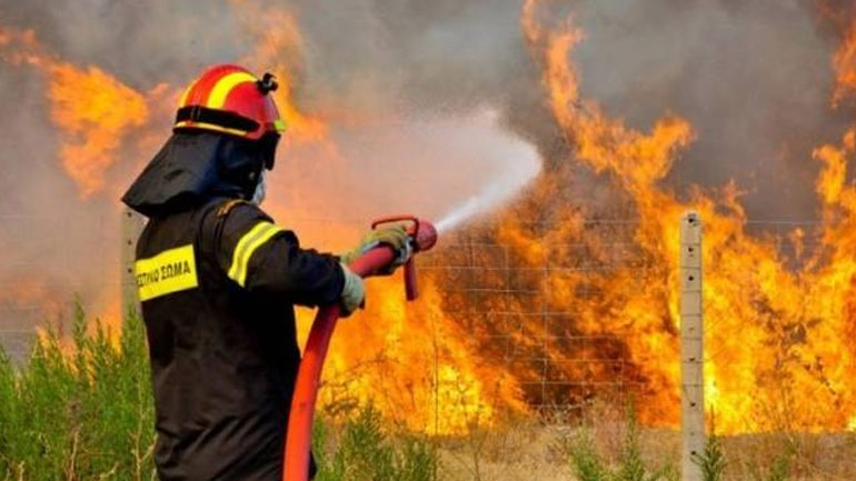 Οριοθετήθηκε η φωτιά στο Πολυδένδρι