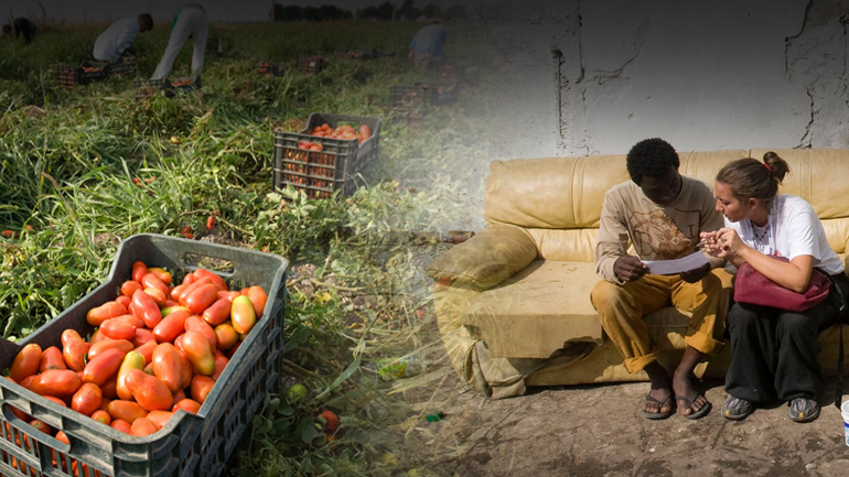 Τα χωράφια της οργής