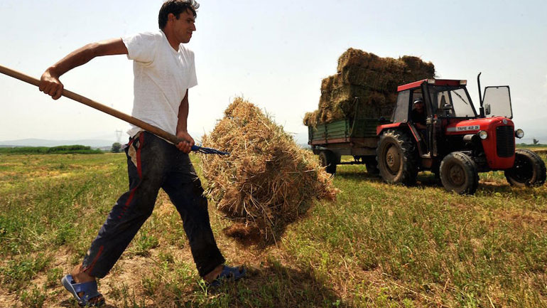 Με παρακρατήσεις η Βασική Ενίσχυση στους αγρότες