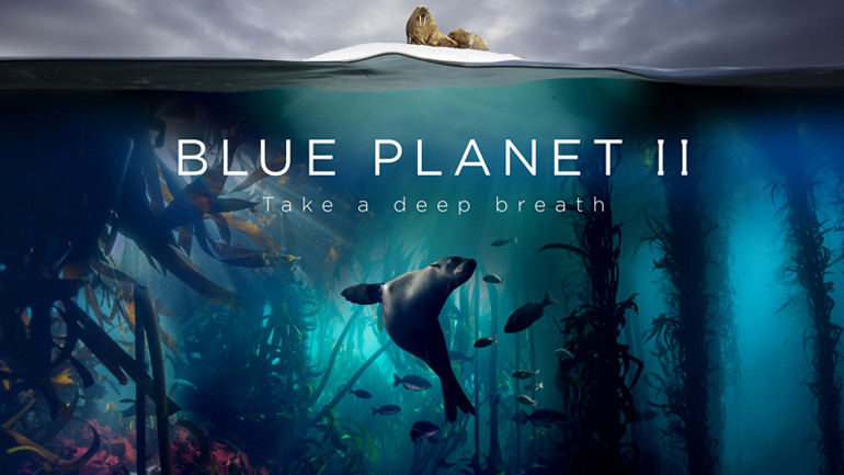 Blue Planet II: το πολυαναμενόμενο ντοκιμαντέρ του BBC Earth κάνει πρεμιέρα αποκλειστικά στην Cosmote TV