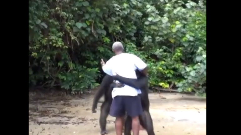 Βίντεο: Ζωάκια δείχνουν την ευγνωμοσύνη τους στον άνθρωπο που τα έσωσε