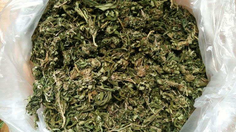 Λάρισα: Συνελήφθη 46χρονος με 2,5 κιλά κάνναβη