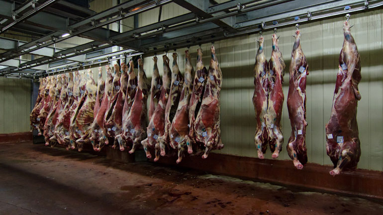 Άγνωστοι έκαψαν δύο οχήματα στου Ζωγράφου