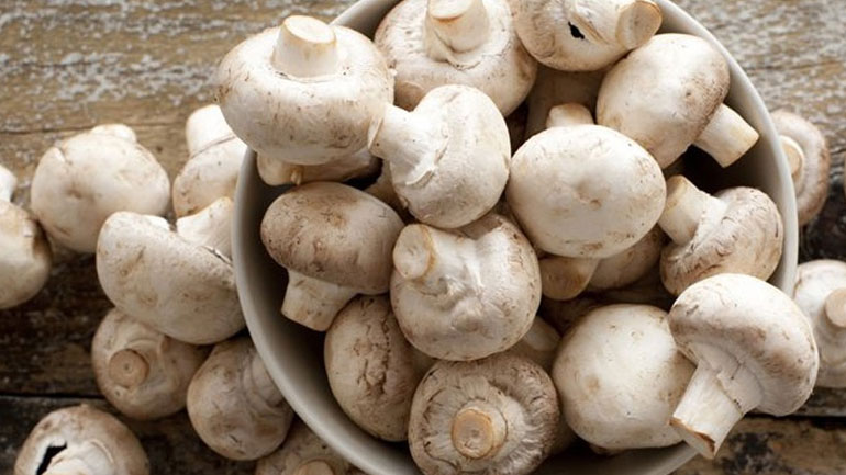 Γιατί πρέπει να αρχίσεις να τρως περισσότερα μανιτάρια