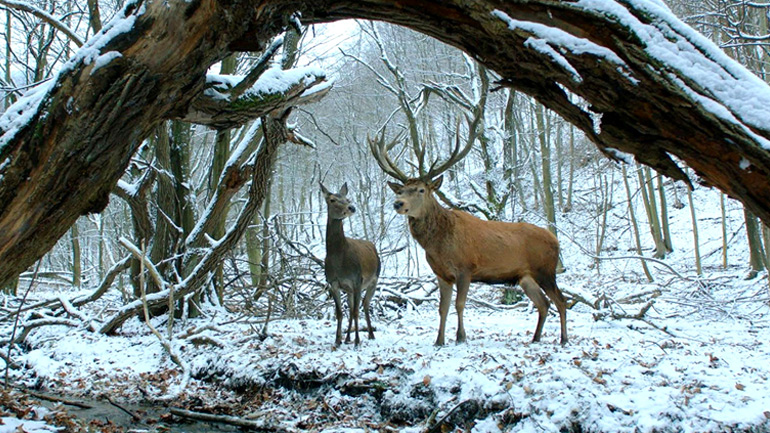Ξεκινά το 58ο Φεστιβάλ Κινηματογράφου – Όλες οι εκδηλώσεις