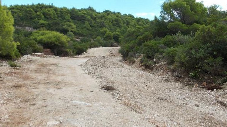 Ζάκυνθος: Aναδάσωση σε περιοχές του νησιού που καταστράφηκαν από τις πυρκαγιές του καλοκαιριού