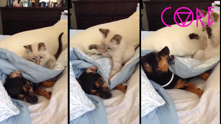 Ώστε θέλεις να κοιμηθείς;