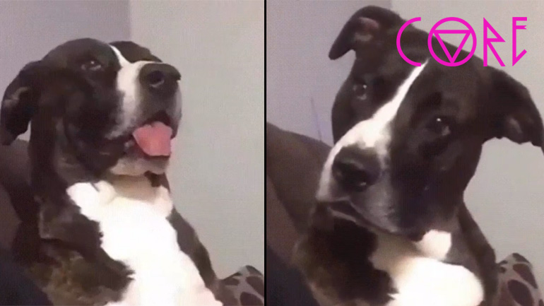 Τι ήταν αυτό;