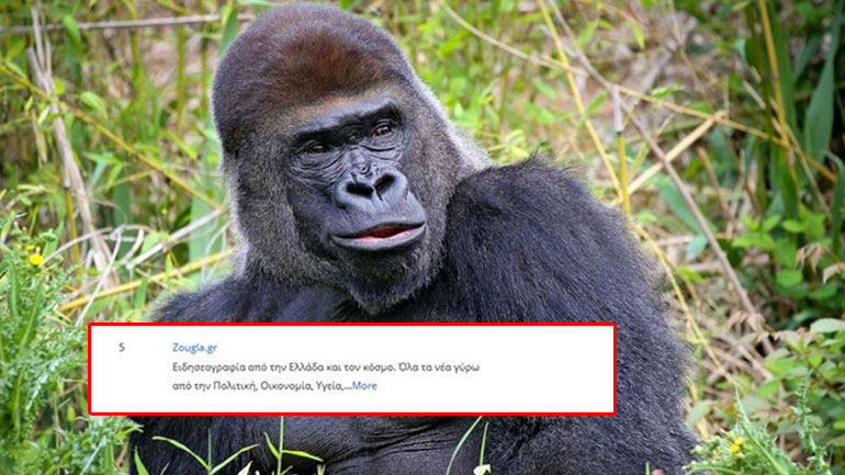 Η Ζούγκλα ανεβαίνει συνεχώς