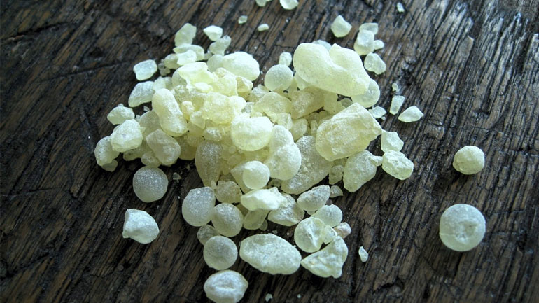 Ο ρόλος της μαστίχας στην ανάπτυξη της Χίου