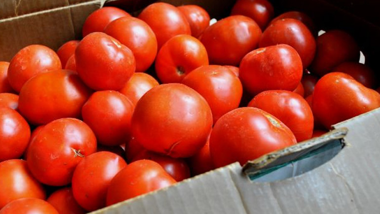 Δέσμευση 1.550 κιλών οπωροκηπευτικών στον Πειραιά