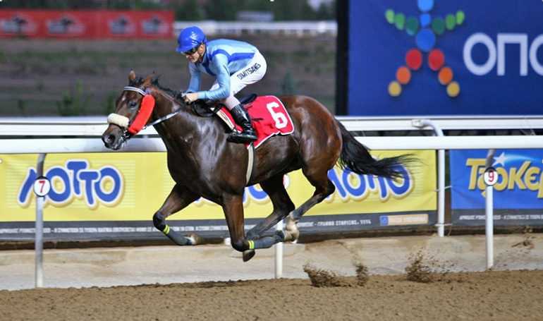 Ο διετής ίππος ΚΟΥΤΣΟΥΝΑΚΟΣ πετυχαίνοντας την νίκη της περασμένης Παρασκευής