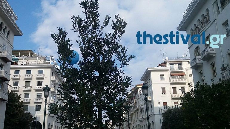 Η βελανιδιά της ζωής φυτεύτηκε στην πλατεία Αριστοτέλους