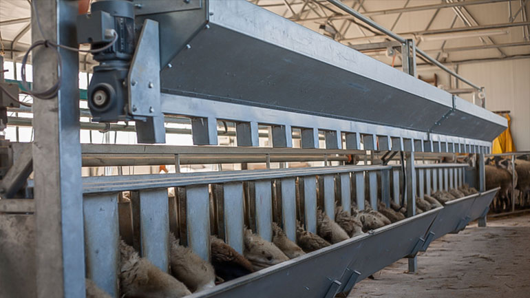 Κτηνοτρόφος έφτιαξε ποιμνιοστάσιο με… κλεμμένα υλικά Κτηνοτρόφος έφτιαξε ποιμνιοστάσιο με… κλεμμένα υλικά