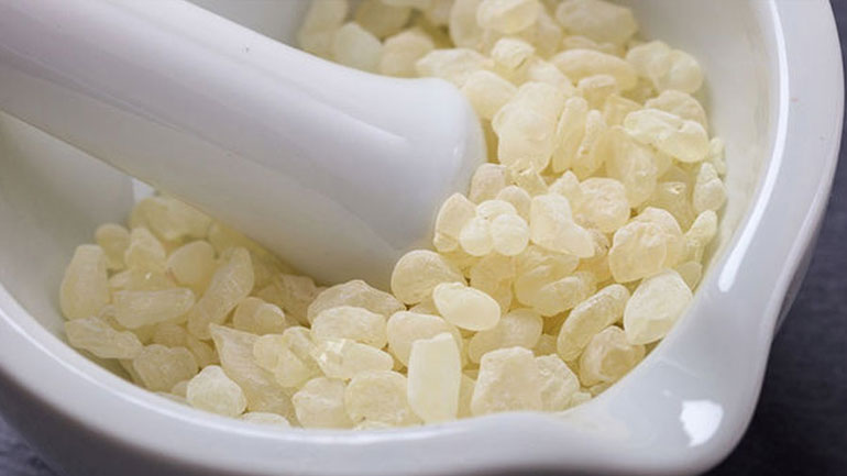 Η μαστίχα Χίου ρίχνει τη χοληστερίνη