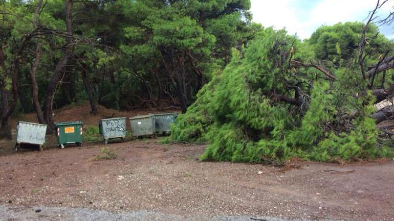 Χαλάζι και ανεμοστρόβιλοι έπληξαν τις ελιές στην Τριφυλία