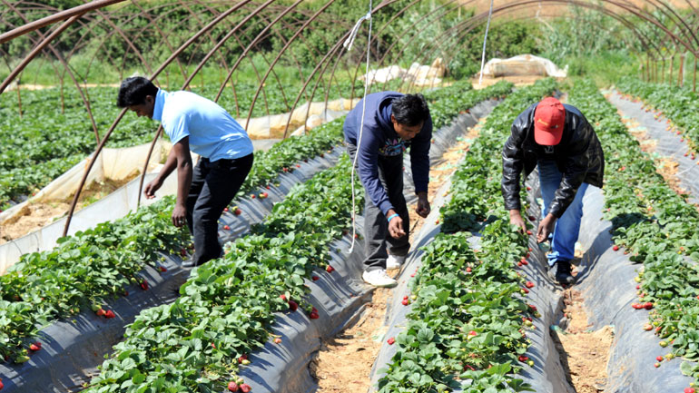 Θεσσαλονίκη: Δυσθεώρητα εμπόδια για τους πρόσφυγες που αναζητούν εργασία Θεσσαλονίκη: Δυσθεώρητα εμπόδια για τους πρόσφυγες που αναζητούν εργασία