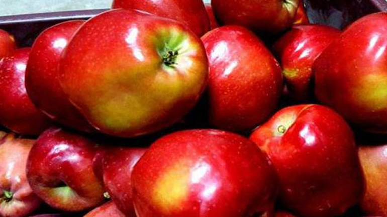 Δέσμευση 1,4 τόνων οπωροκηπευτικών χωρίς σήμανση