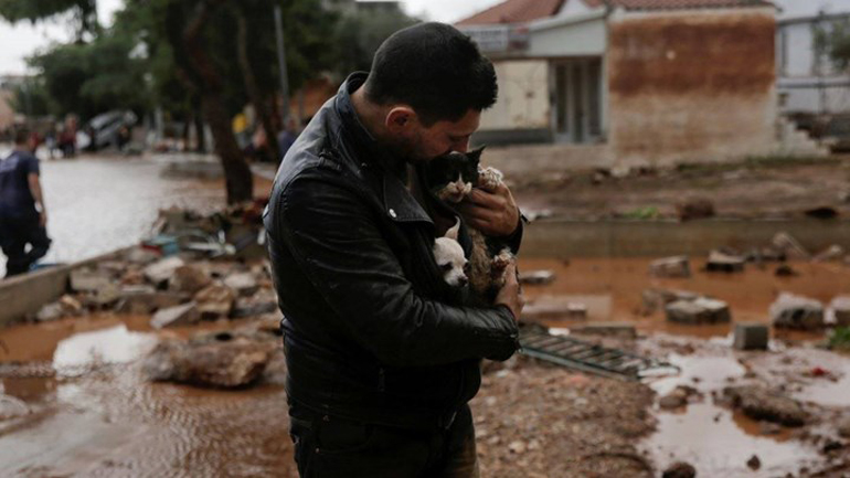 Έσωσε σκυλάκι και γατάκι από τις πλημμύρες